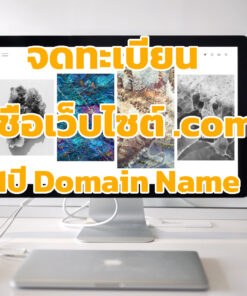 ค่าบริการจดทะเบียนชื่อเว็บไซต์ 1ปี (Domain .com . net . org)